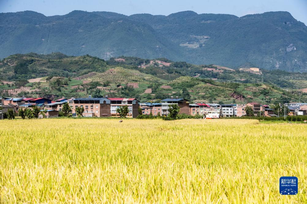金沙中心赌场